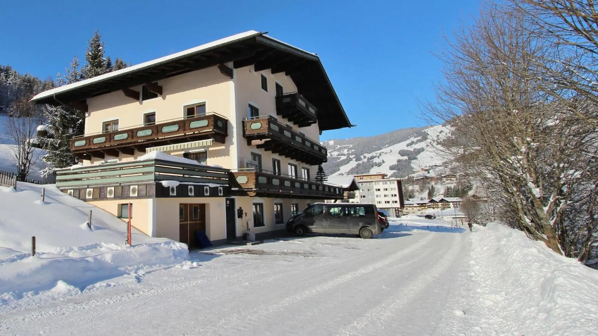 Rupertihof 3 Apartment Saalbach-Hinterglemm